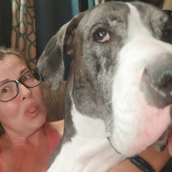 Meet your Posher - Picture 12 of 16